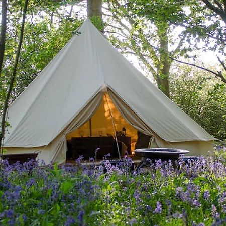 Hotel Oak Tree Farm à Llanfynydd Extérieur photo
