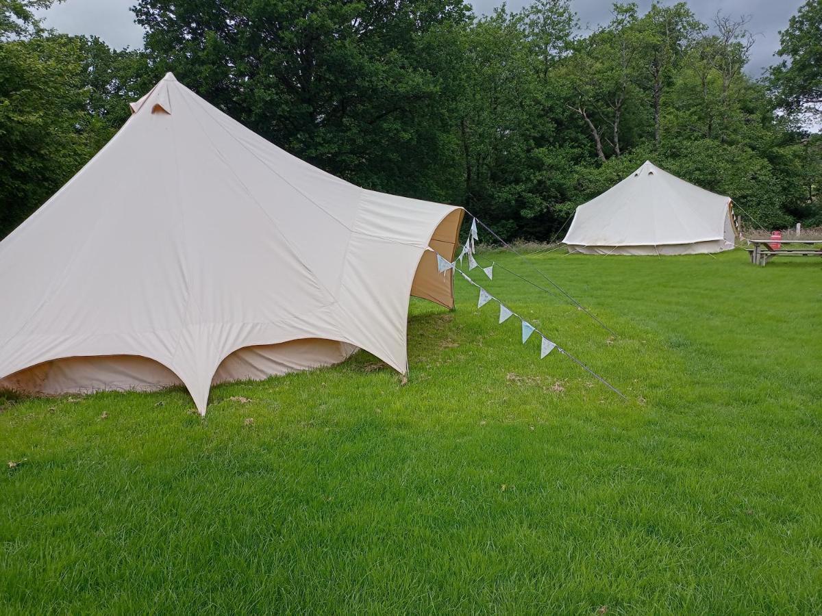 Hotel Oak Tree Farm à Llanfynydd Extérieur photo