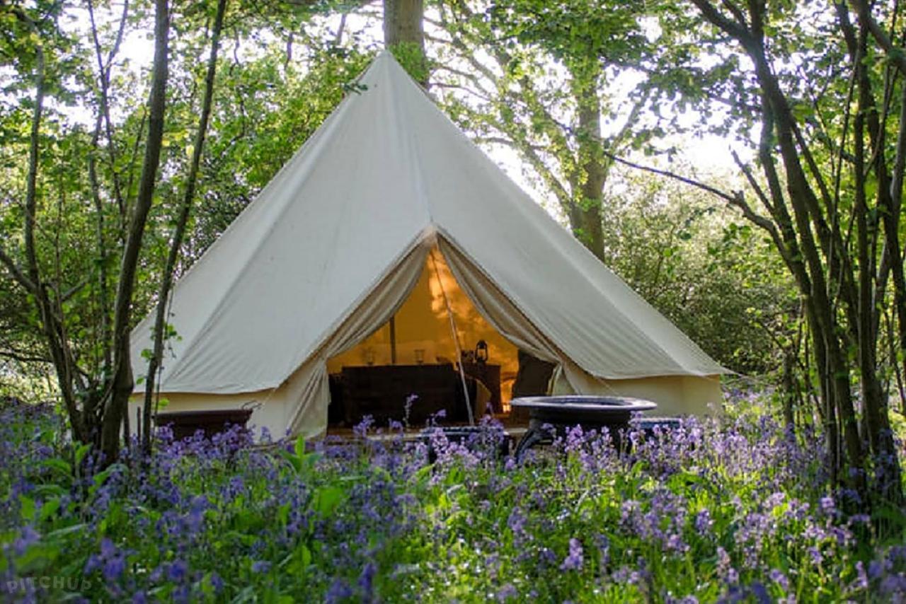 Hotel Oak Tree Farm à Llanfynydd Extérieur photo