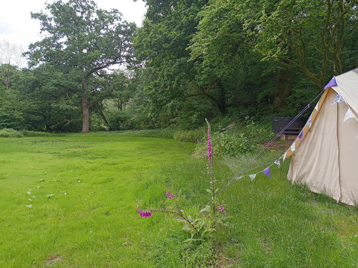 Hotel Oak Tree Farm à Llanfynydd Extérieur photo