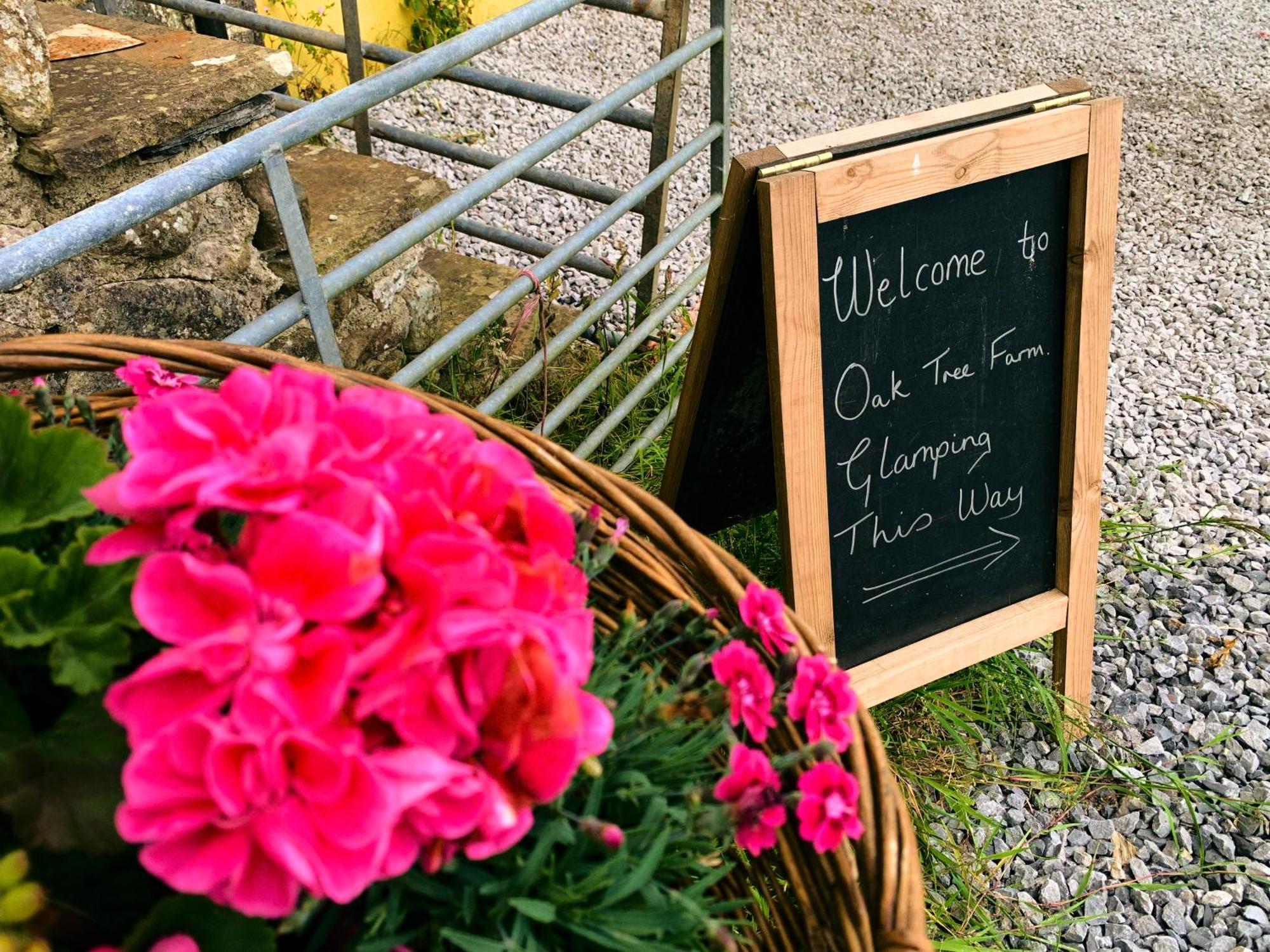 Hotel Oak Tree Farm à Llanfynydd Extérieur photo